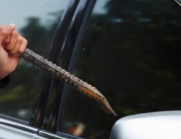 tiktok trends and car theft