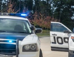 assaulting a police officer after getting pulled over