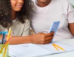 home school, custody, parenting time, education