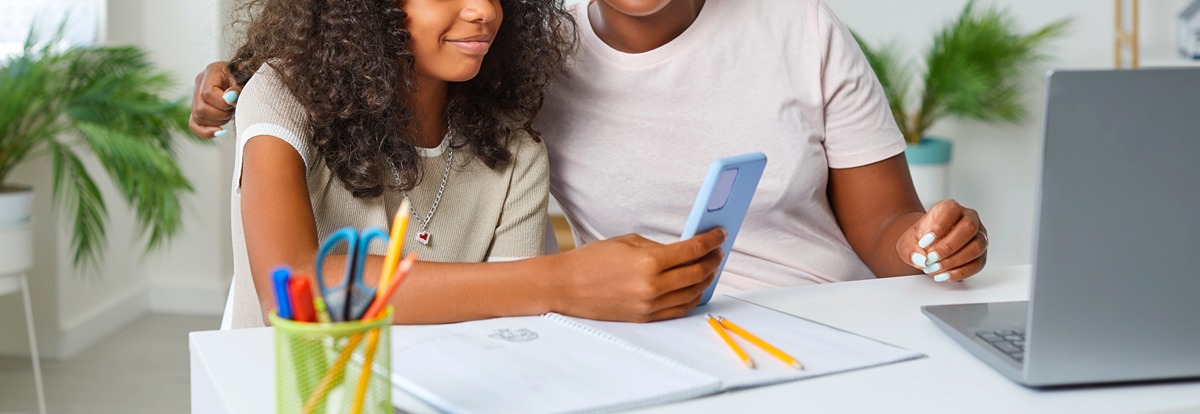 home school, custody, parenting time, education