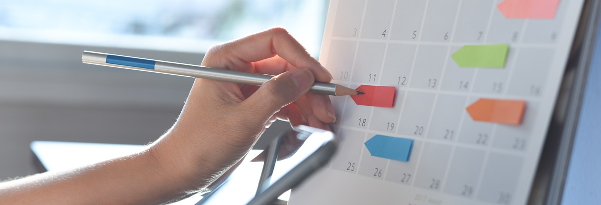 custody schedule planning