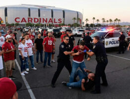 Aggravated assault at Arizona cardinals game.